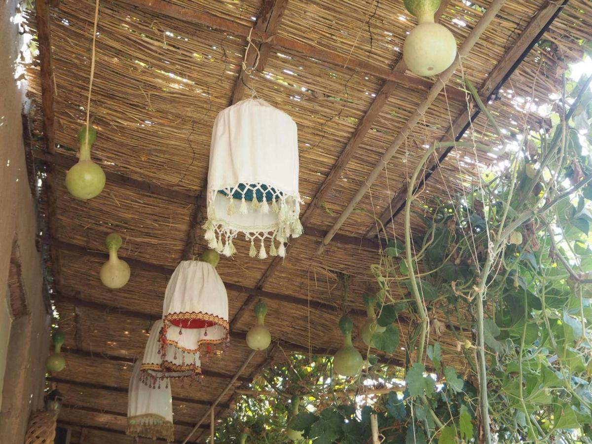 Guest House Khiva Boyjon Ota Εξωτερικό φωτογραφία