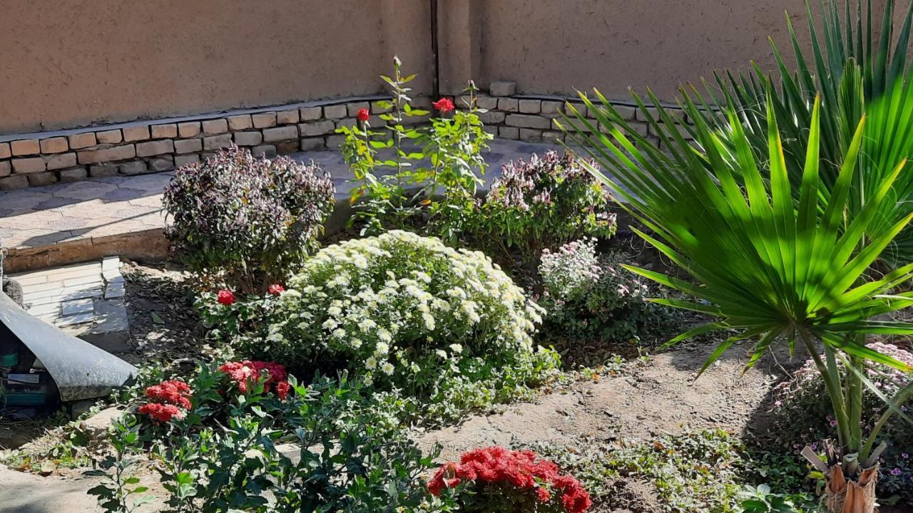 Guest House Khiva Boyjon Ota Εξωτερικό φωτογραφία